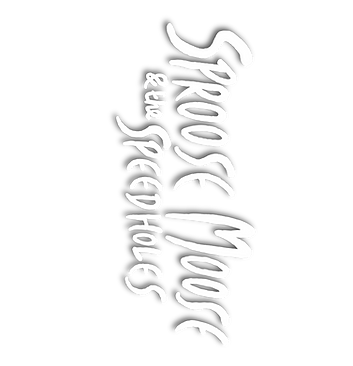 Speedholes Logo_edited.png