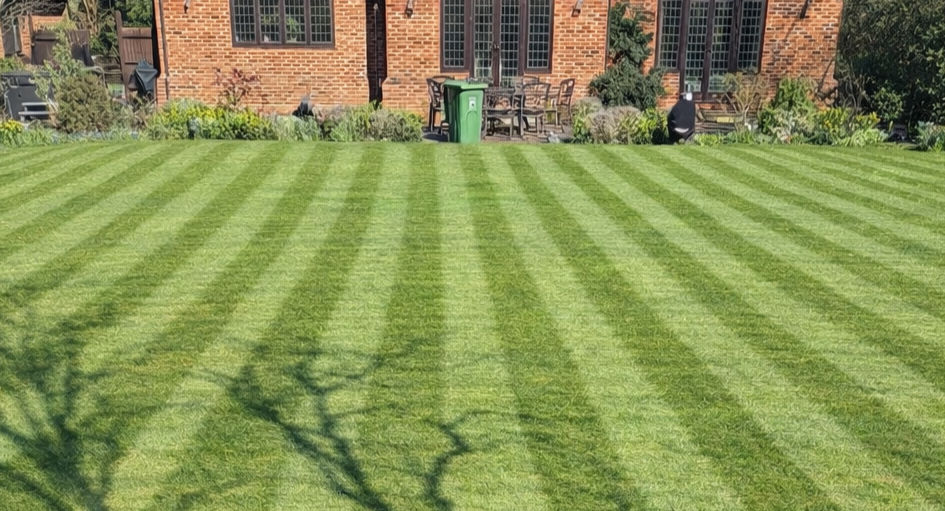 larger striped lawn_edited.jpg