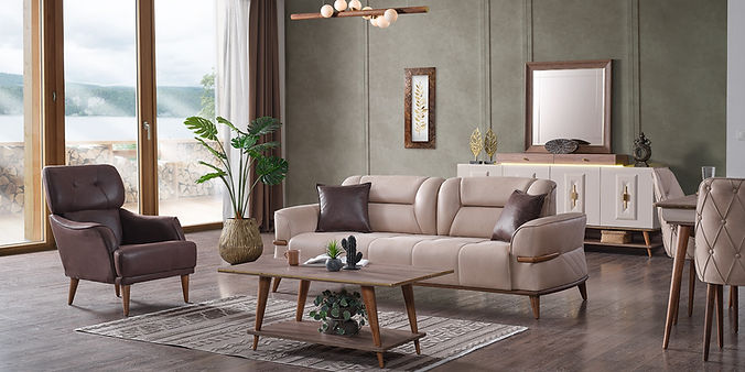 ladin koltuk_edited.jpg