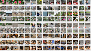 surrealism - Mount Edgcumbe contact sheets.