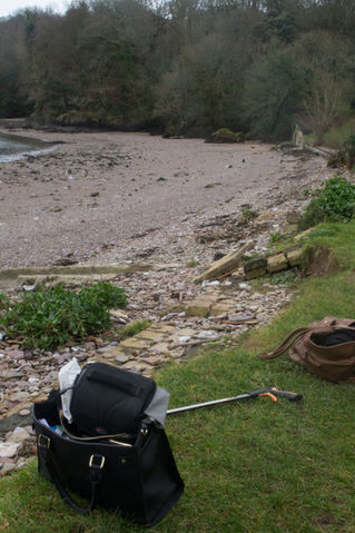 The Future - Mount edgecumbe beach clean