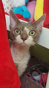 20180909_194443.jpg