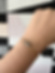 RVS Armband met Dalmatier Jaspis