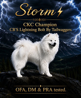 A STORM POSTER.jpeg