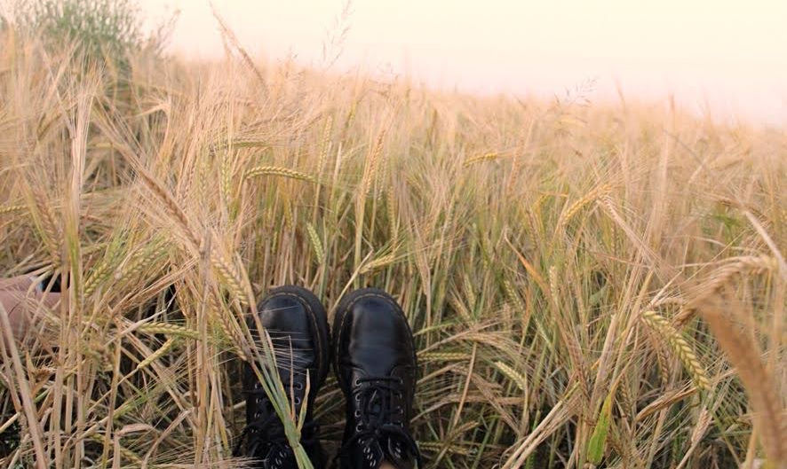 Sustainable Textiles Project 