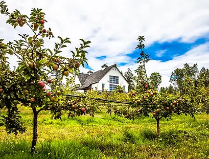 sea-cider-farm-ciderhouse-3.webp