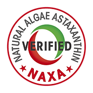 NAXA logo