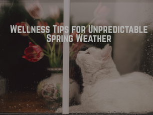 Navigating Mental Health in the Rainy Spring Season: Tips for Unpredictable Weather Wellness
