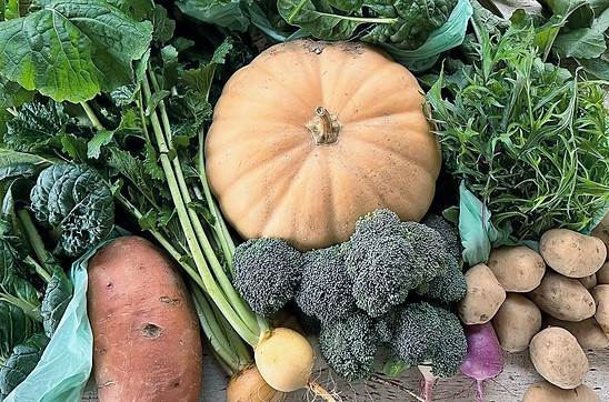 Fall harvest