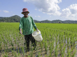 Laos Is Quietly Becoming Southeast Asia's Most Important Agricultural Story — and Its Farmers Still Can't Get a Loan