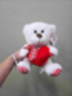 Valentines Day Teddy Bear