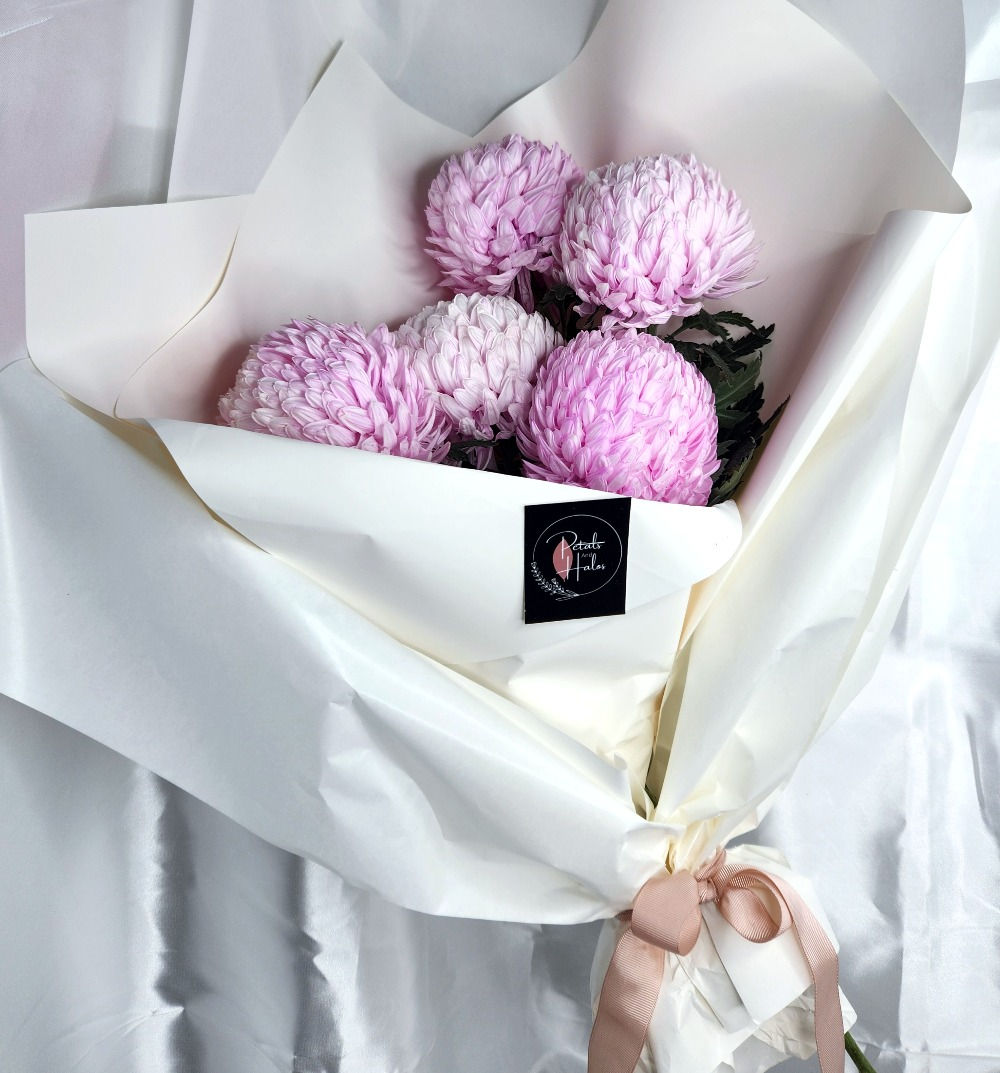 soft pink chrysanthemums