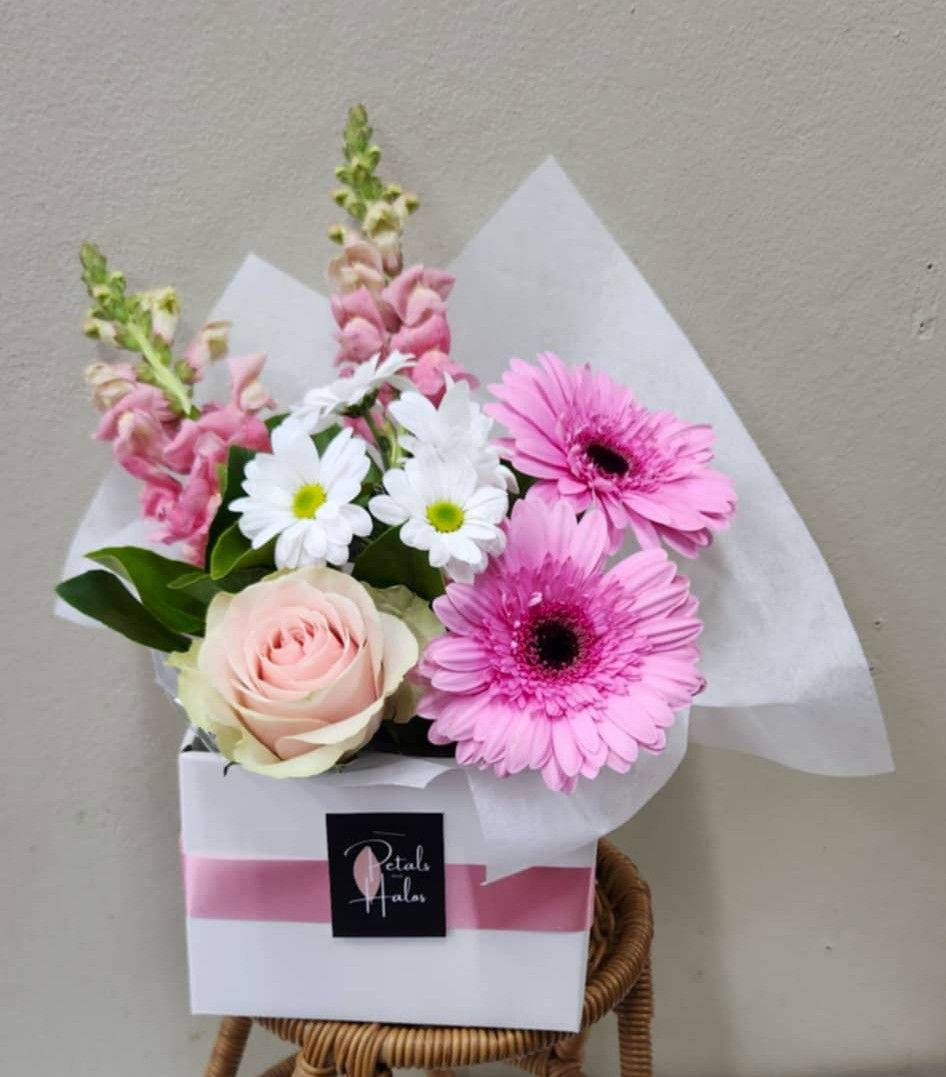 Pink Gerberas soft pink flowers