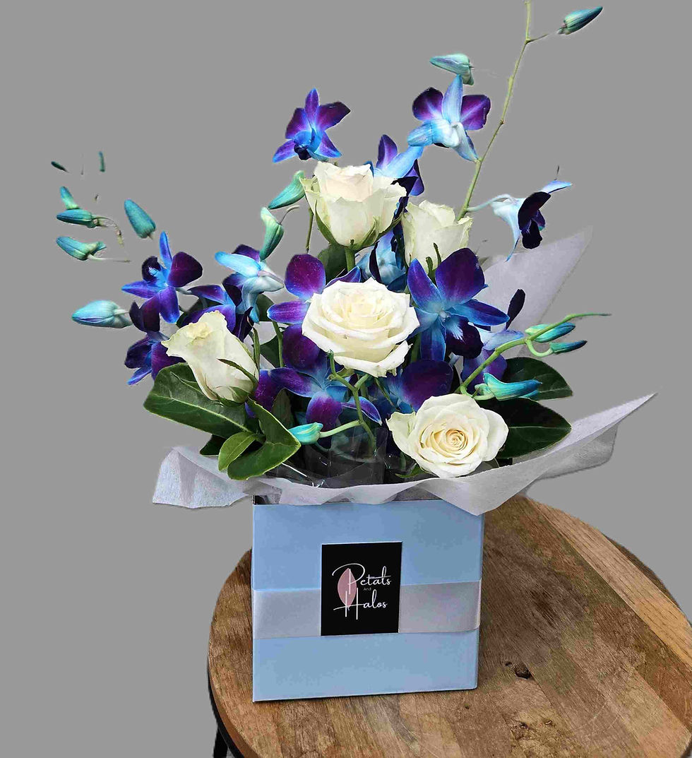 blue singapore orchid box