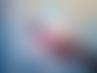 6 Claves para convertir tus redes sociales en el escaparate perfecto para tu marca