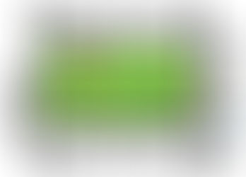 Doty Island's PorchaPolooza