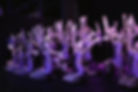 Foto 10.12.22, 22 01 10.jpg