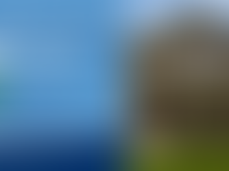 🏗️ New Construction? Yes, You Still Need a Home Inspection