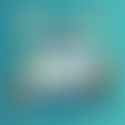 How Shopify Stores Win With Organic SEO: The Complete AutoPilotSEO Guide