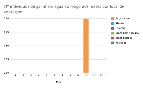 Nº indivíduos de garajau-comum ao longo dos meses por local de contagem.png