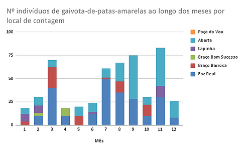 Nº indivíduos de garajau-comum ao longo dos meses por local de contagem.png