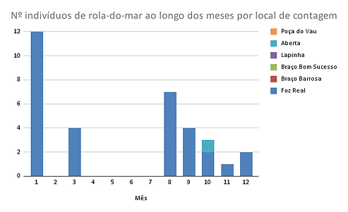 Nº indivíduos de garajau-comum ao longo dos meses por local de contagem.png