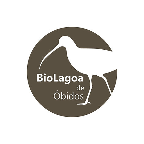 Bio_Lagoa_de_Óbidos_3_C_edited.jpg