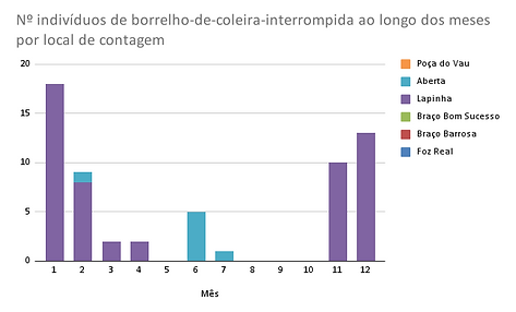 Nº indivíduos de garajau-comum ao longo dos meses por local de contagem.png