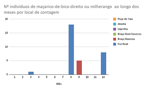 Nº indivíduos de garajau-comum ao longo dos meses por local de contagem.png