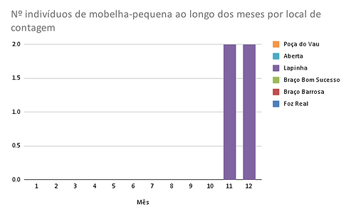 Nº indivíduos de garajau-comum ao longo dos meses por local de contagem.png