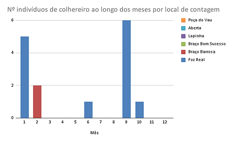 Nº indivíduos de garajau-comum ao longo dos meses por local de contagem.png
