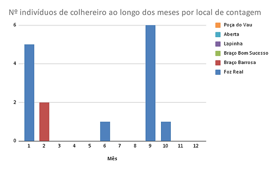 Nº indivíduos de garajau-comum ao longo dos meses por local de contagem.png