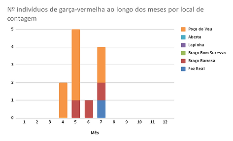 Nº indivíduos de garajau-comum ao longo dos meses por local de contagem.png