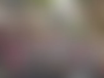 CARNAVAL 2026: INTENÇÃO DE CONSUMO MOVIMENTA 41 MILHÕES DE BRASILEIROS, ESTIMAM CNDL/SPC BRASIL