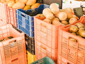 PREÇO DA CESTA BÁSICA CAI EM 15 DAS 27 CAPITAIS EM JULHO