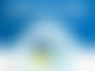 CDL SÃO LUÍS VAI PARTICIPAR DO DÍVIDA ZERO DO PROCON-MA