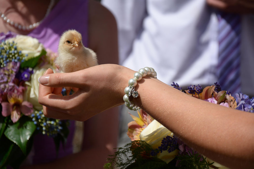 JMP Slideshow 2016 (5)