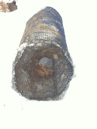 Minnows and Crawdads: You can Eat them Too!