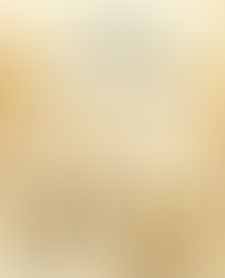 2018 Dreams into Reality