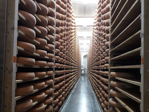 L'Art Subtil de l'Affinage du Comté avec RV Degustation