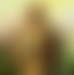 São Ricardo - 7 Fev