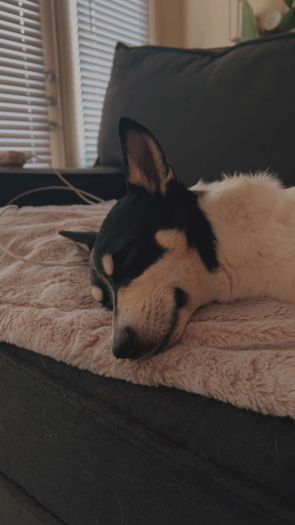 Thumbnail: Nala Jean