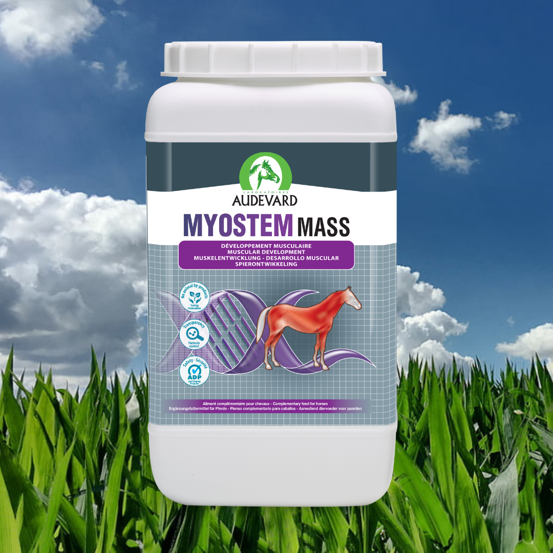 Myostem Mass