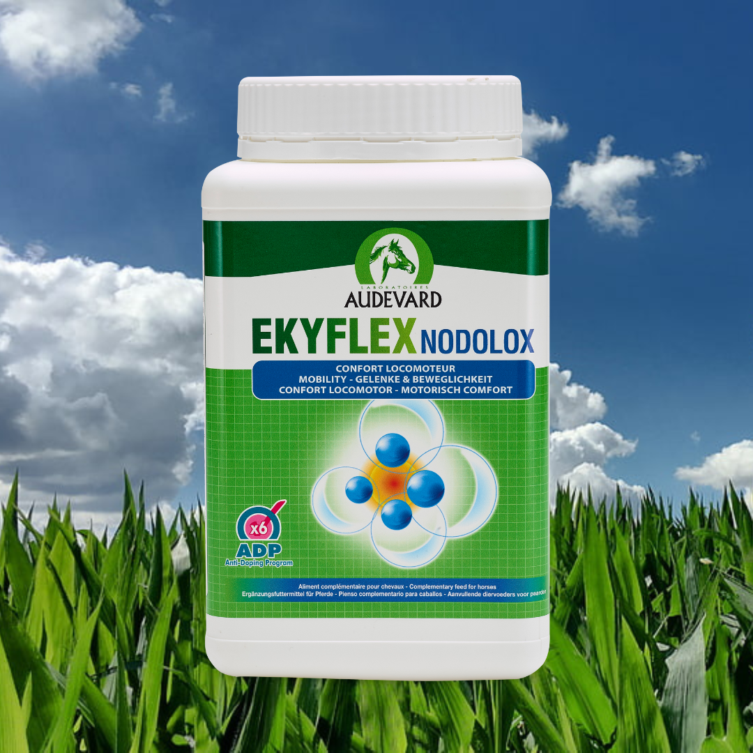 Ekyflex Nodolox 1.2kg