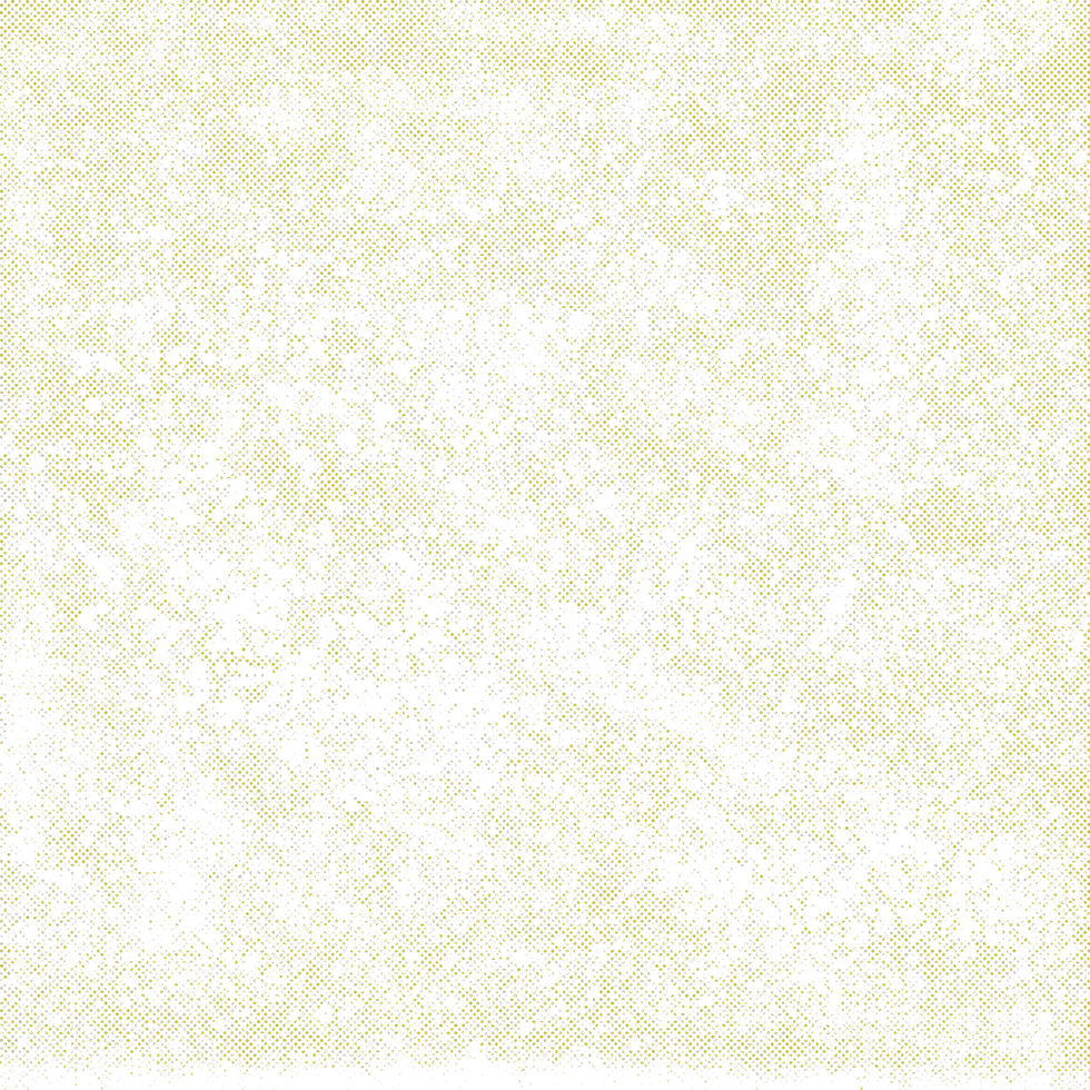 TRANSPERENT NEW BACKGROUND_edited_edited_edited_edited_edited.png