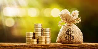          Consejos para la inversión