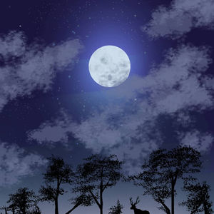 Night