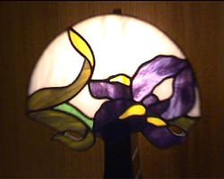 iris