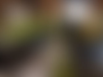 Nettoyage du zoning - 23 mars 2018