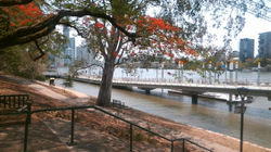 WIN_20191210_11_21_44_Pro